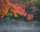 USA, New Jersey, Pine Barrens National Preserve. Autumn foliage and pond mist. Art Print